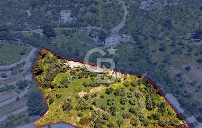 CB Leader'den Güre Çamlıbel Mh.'de Devren Kiralık Restoran