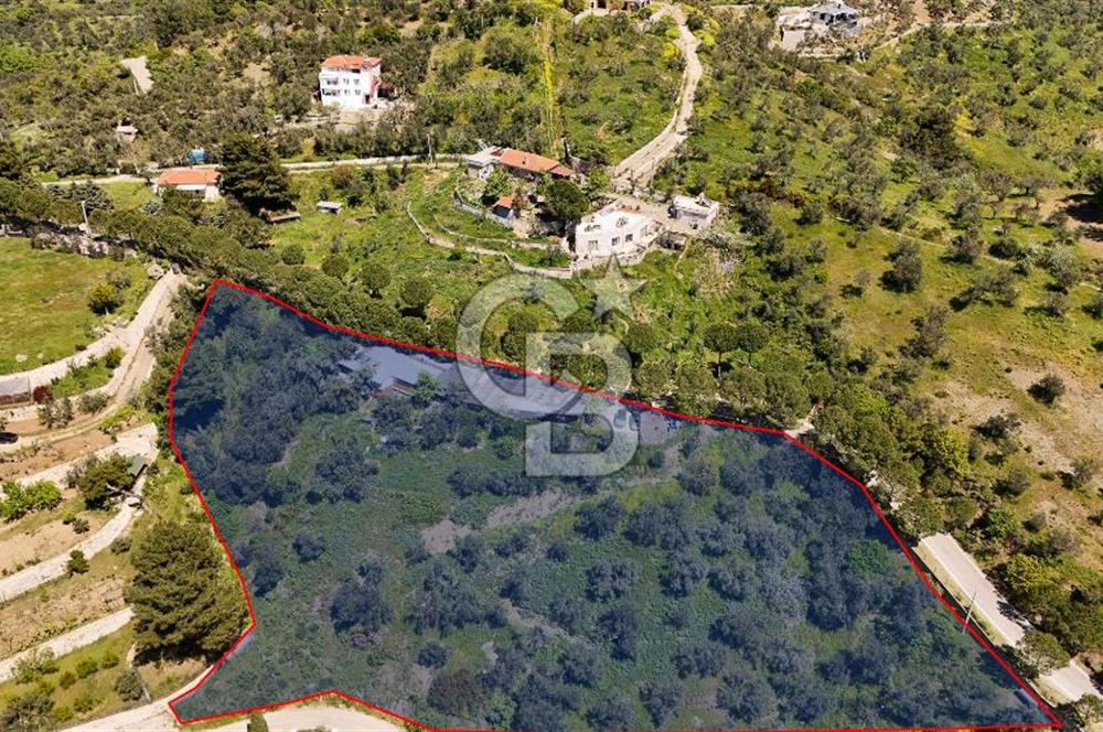 CB Leader'den Güre Çamlıbel Mh.'de Devren Kiralık Restoran