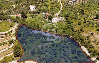 CB Leader'den Güre Çamlıbel Mh.'de Devren Kiralık Restoran