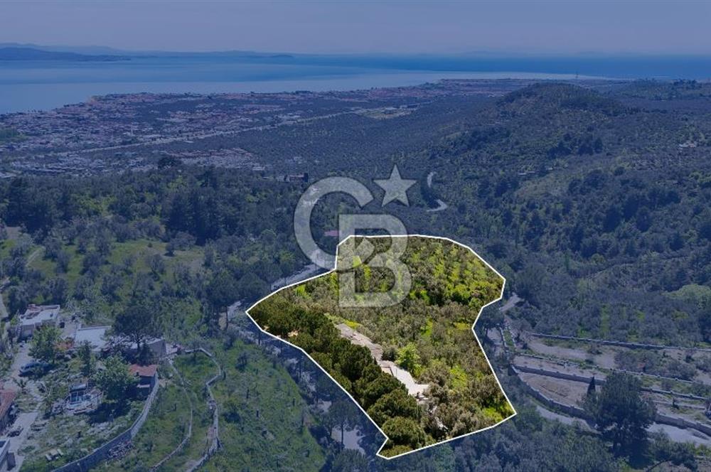 CB Leader'den Güre Çamlıbel Mh.'de Devren Kiralık Restoran