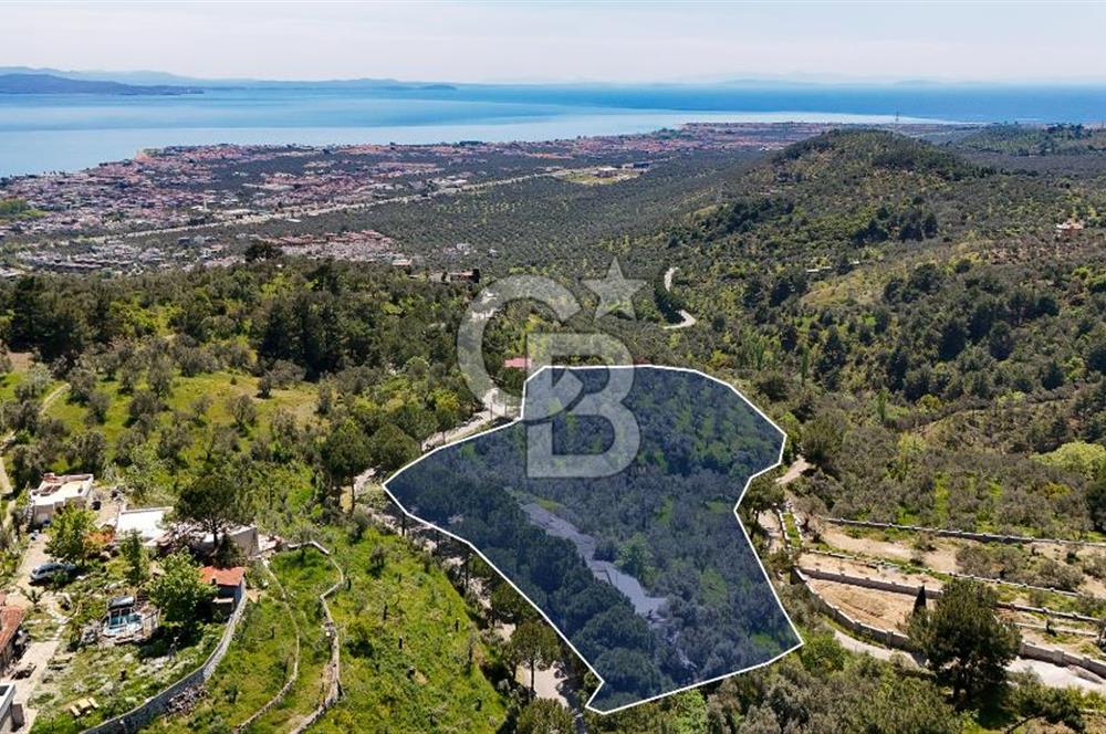 CB Leader'den Güre Çamlıbel Mh.'de Devren Kiralık Restoran