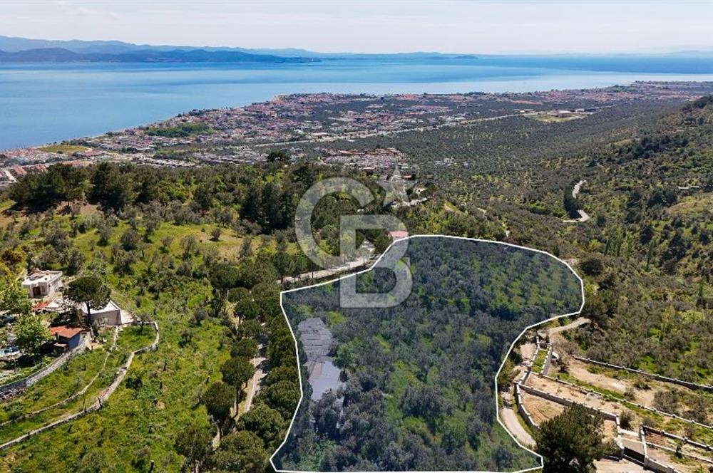 CB Leader'den Güre Çamlıbel Mh.'de Devren Kiralık Restoran