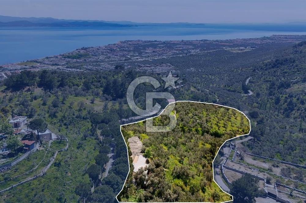 CB Leader'den Güre Çamlıbel Mh.'de Devren Kiralık Restoran