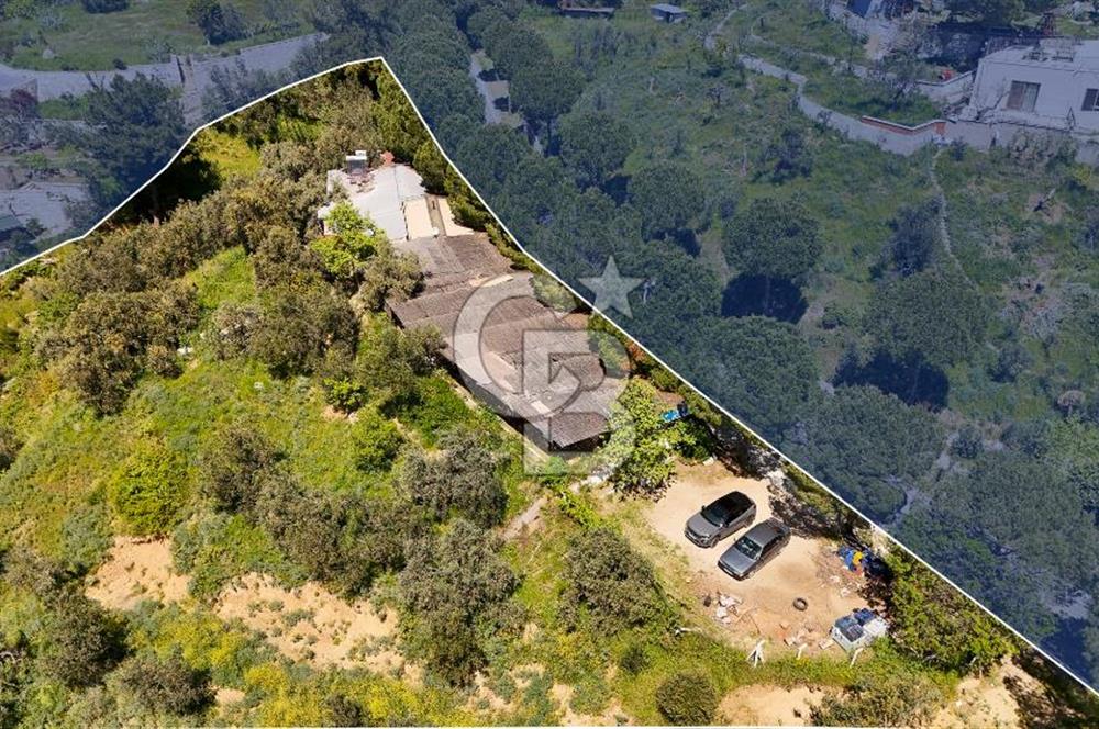 CB Leader'den Güre Çamlıbel Mh.'de Devren Kiralık Restoran