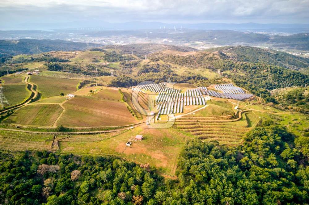 SEFERİHİSAR GÖLCÜK 'DE 10.000 M2 SATILIK ARAZİ