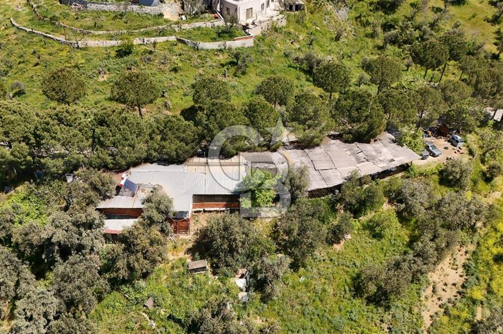 CB Leader'den Güre Çamlıbel Mh.'de Devren Kiralık Restoran