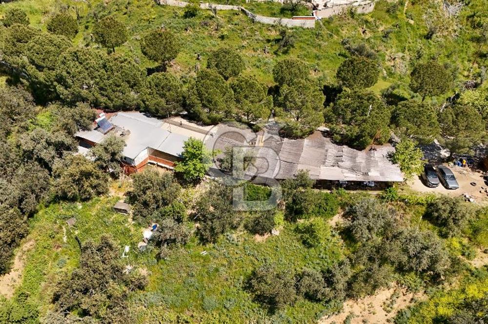 CB Leader'den Güre Çamlıbel Mh.'de Devren Kiralık Restoran