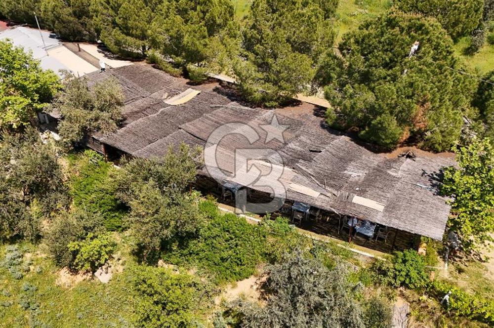 CB Leader'den Güre Çamlıbel Mh.'de Devren Kiralık Restoran