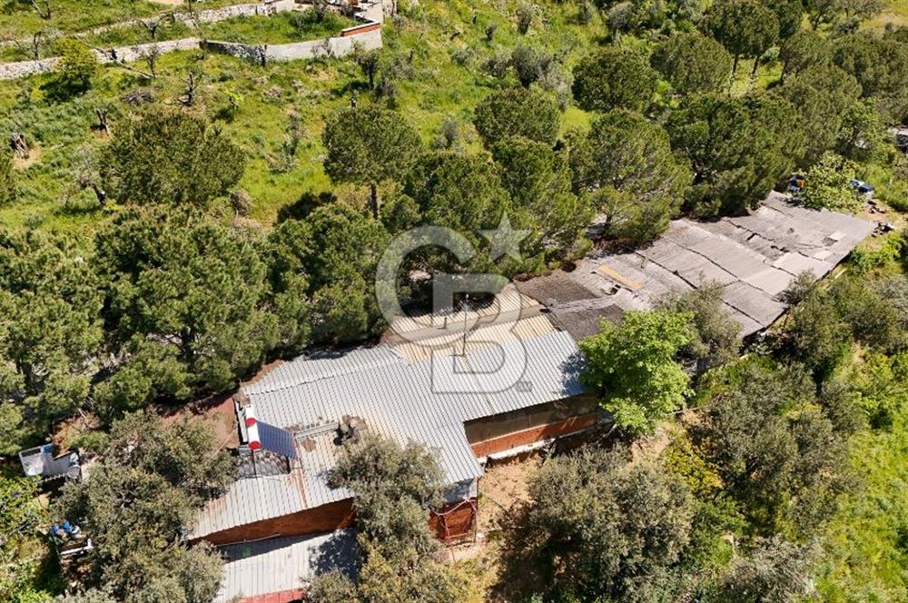 CB Leader'den Güre Çamlıbel Mh.'de Devren Kiralık Restoran