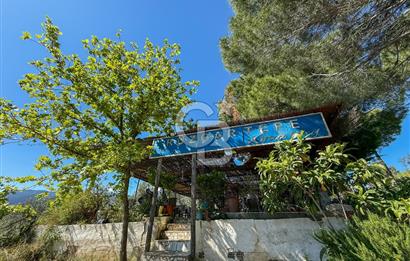 CB Leader'den Güre Çamlıbel Mh.'de Devren Kiralık Restoran