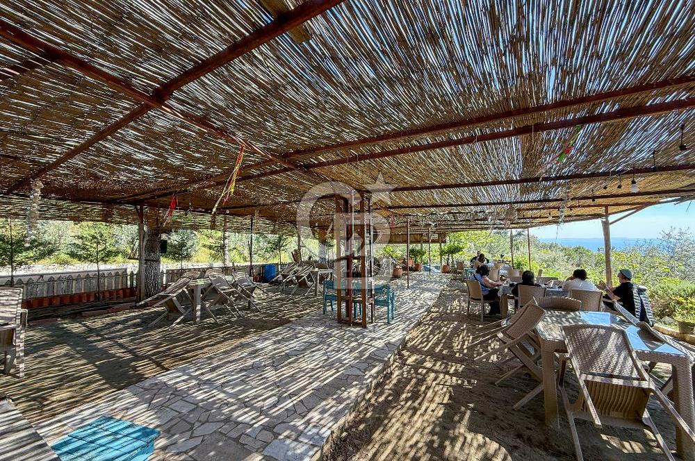 CB Leader'den Güre Çamlıbel Mh.'de Devren Kiralık Restoran