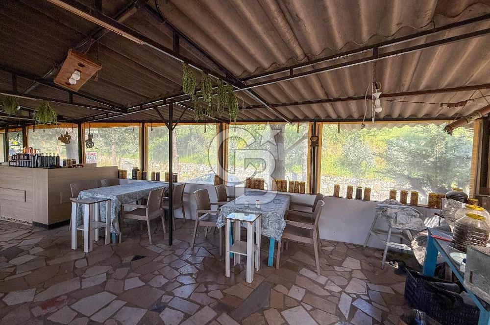 CB Leader'den Güre Çamlıbel Mh.'de Devren Kiralık Restoran