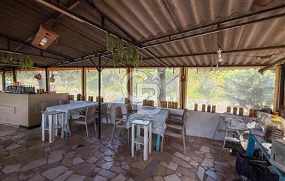 CB Leader'den Güre Çamlıbel Mh.'de Devren Kiralık Restoran