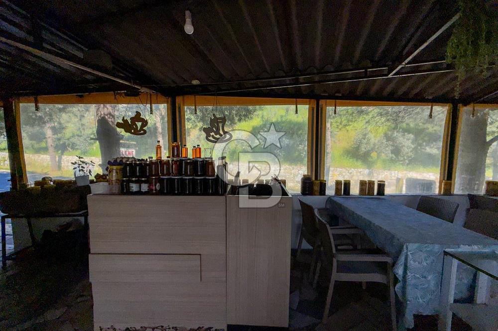 CB Leader'den Güre Çamlıbel Mh.'de Devren Kiralık Restoran