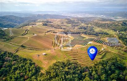 SEFERİHİSAR GÖLCÜK 'DE 10.000 M2 SATILIK ARAZİ