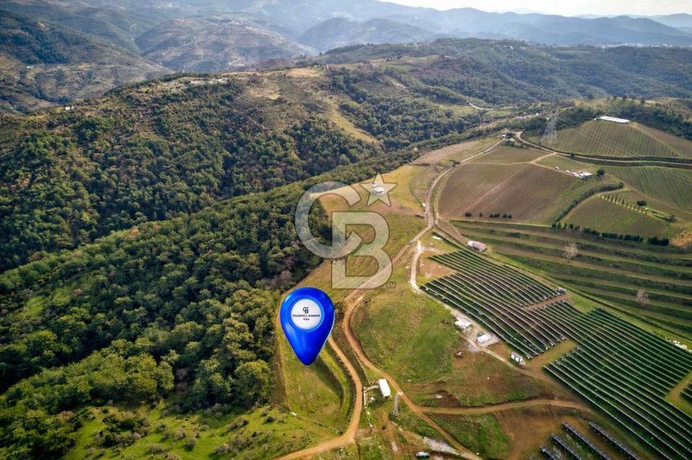 SEFERİHİSAR GÖLCÜK 'DE 10.000 M2 SATILIK ARAZİ