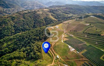 SEFERİHİSAR GÖLCÜK 'DE 10.000 M2 SATILIK ARAZİ