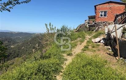 Kavacık Köyü İçinde Manzaralı Tarihi Çınara Komşu Satılık Arsa