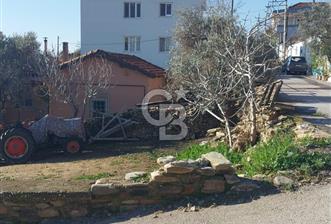 İZMİR BAYINDIR YENİ MAH. KONUT İMARLI ARSA - 11 - 347068