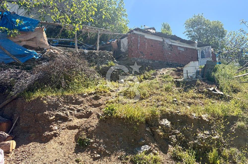 Kavacık Köyü İçinde Manzaralı Tarihi Çınara Komşu Satılık Arsa