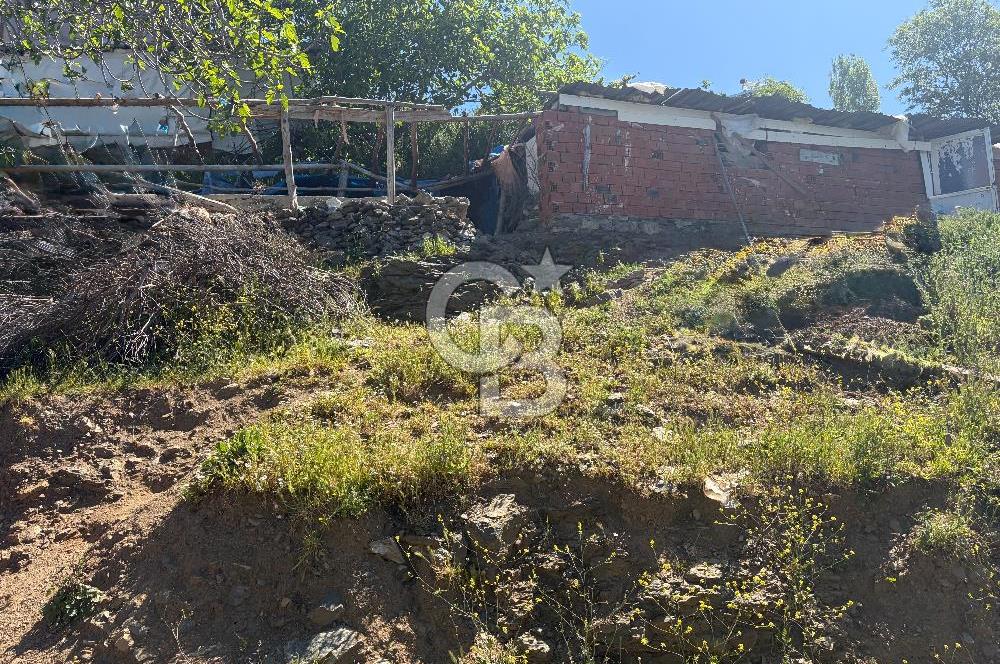 Kavacık Köyü İçinde Manzaralı Tarihi Çınara Komşu Satılık Arsa