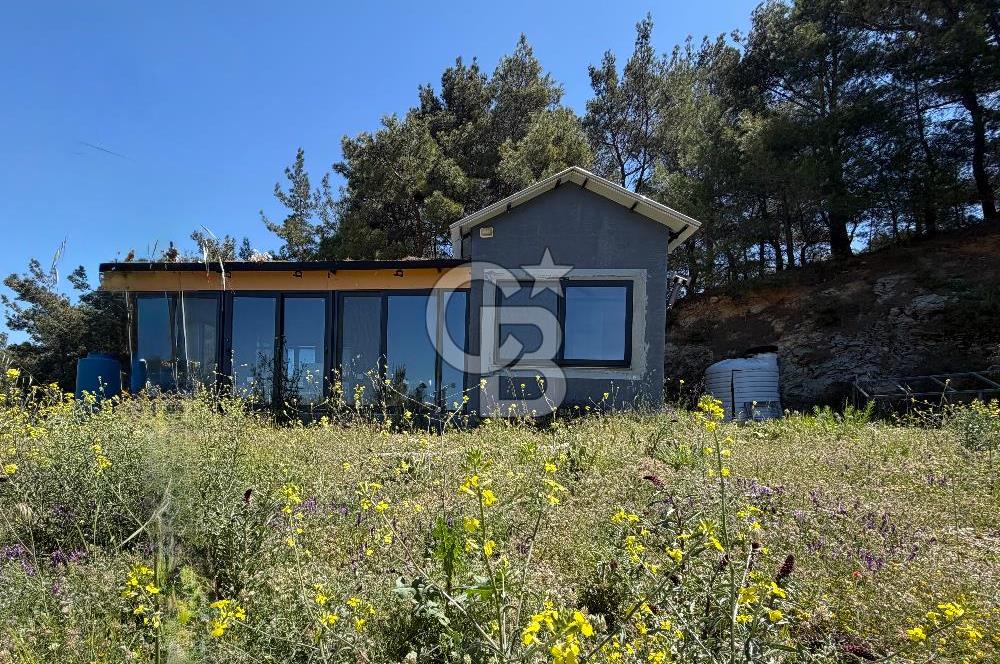 Şehrin Gürültüsünden Uzak Kavacıkta Hazır Yaşam Alanı