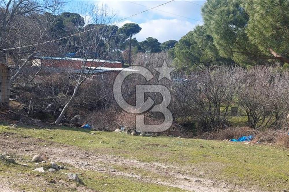 İzmir Bergama Merkeze Yakın Kaçırılmayacak İmarlı Satılık Bahçe