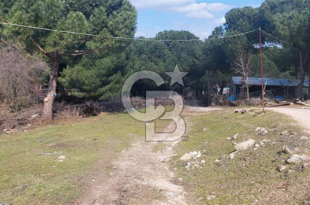 İzmir Bergama Merkeze Yakın Kaçırılmayacak İmarlı Satılık Bahçe