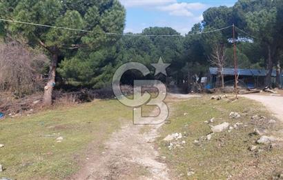 İzmir Bergama Merkeze Yakın Kaçırılmayacak İmarlı Satılık Bahçe