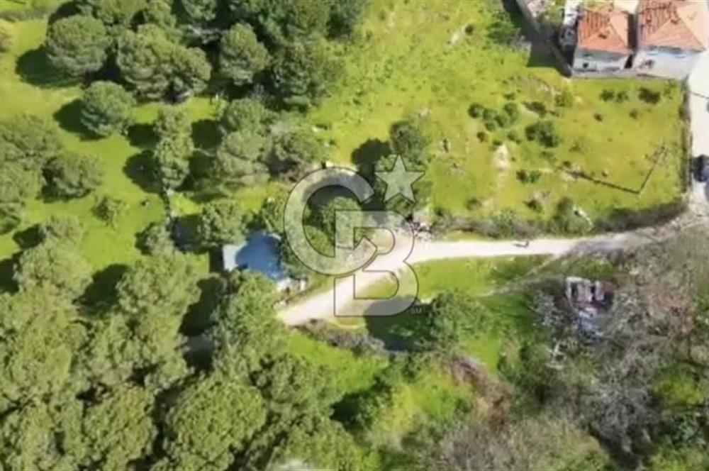İzmir Bergama Merkeze Yakın Kaçırılmayacak İmarlı Satılık Bahçe