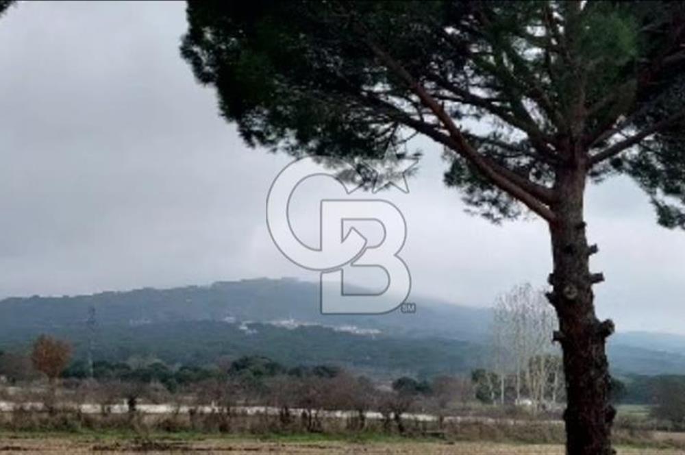 İzmir Bergama Merkeze Yakın Kaçırılmayacak İmarlı Satılık Bahçe