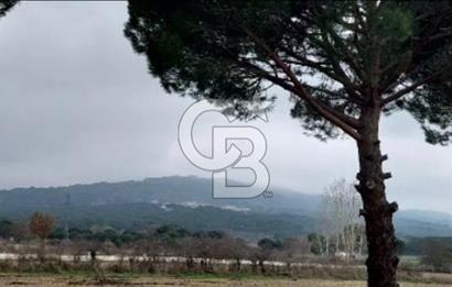 İzmir Bergama Merkeze Yakın Kaçırılmayacak İmarlı Satılık Bahçe