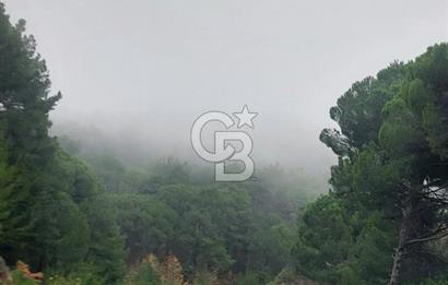 İzmir Bergama Merkeze Yakın Kaçırılmayacak İmarlı Satılık Bahçe