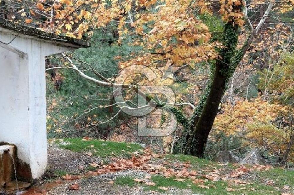 İzmir Bergama Merkeze Yakın Kaçırılmayacak İmarlı Satılık Bahçe