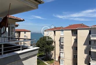 YALOVA ZUHALKENT'TE SATILIK 2+1 DAİRE!! - 3 - 347089