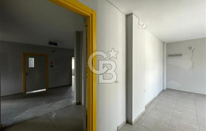 GÜZELYALIDA EĞİTİM RUHSATLI 4 KATLI 16 ODALI KURUMSAL İŞYERİ