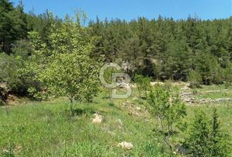 BUCAK'TA 2912 M2 DERE KENARI SATILIK ARAZİ - 1 - 347091