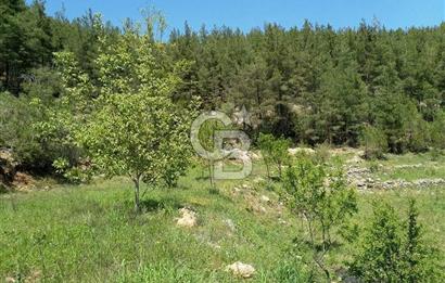 BUCAK'TA 2912 M2 DERE KENARI SATILIK ARAZİ