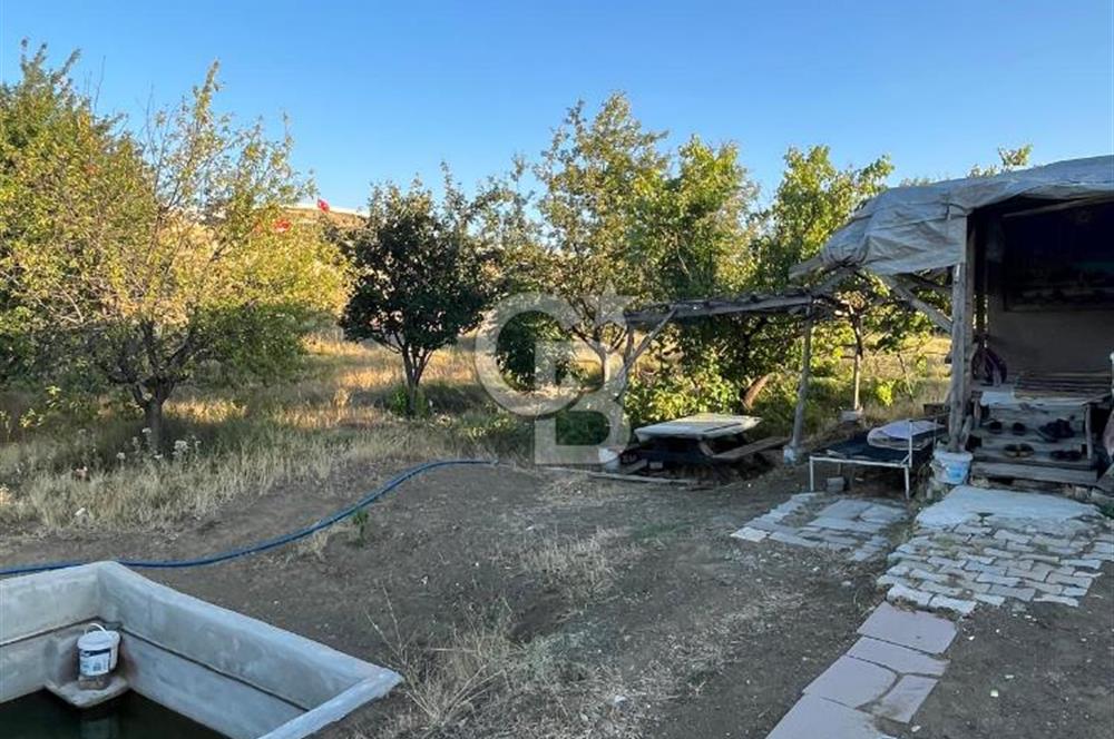YOZGAT MERKEZDE SALMANFAKILI KÖYÜNDE SATILIK BAHÇE&TARLA
