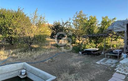 YOZGAT MERKEZDE SALMANFAKILI KÖYÜNDE SATILIK BAHÇE&TARLA