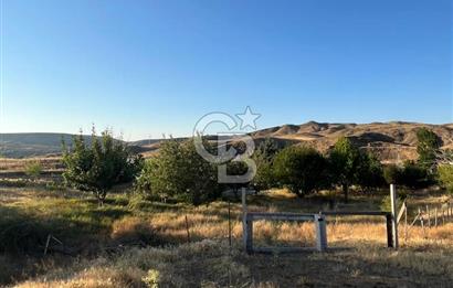 YOZGAT MERKEZDE SALMANFAKILI KÖYÜNDE SATILIK BAHÇE&TARLA