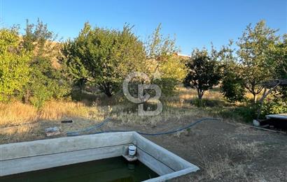 YOZGAT MERKEZDE SALMANFAKILI KÖYÜNDE SATILIK BAHÇE&TARLA