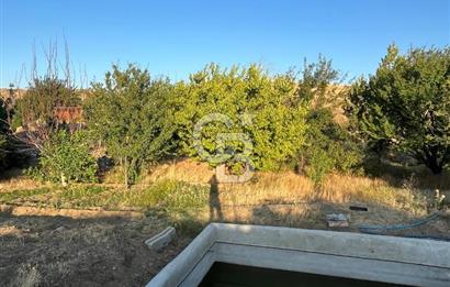 YOZGAT MERKEZDE SALMANFAKILI KÖYÜNDE SATILIK BAHÇE&TARLA