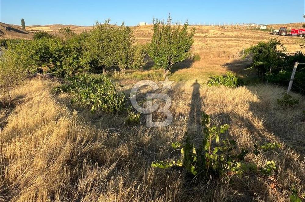 YOZGAT MERKEZDE SALMANFAKILI KÖYÜNDE SATILIK BAHÇE&TARLA