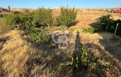 YOZGAT MERKEZDE SALMANFAKILI KÖYÜNDE SATILIK BAHÇE&TARLA