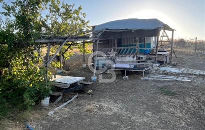YOZGAT MERKEZDE SALMANFAKILI KÖYÜNDE SATILIK BAHÇE&TARLA