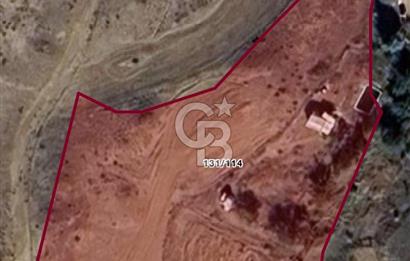 YOZGAT MERKEZDE SALMANFAKILI KÖYÜNDE SATILIK BAHÇE&TARLA