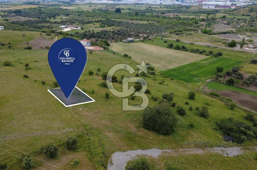 CB ODAK'TAN ALİAĞA GÜZELHİSAR ELBİRDİDE YATIRIMLIK SATILIK TARLAFavorilerime