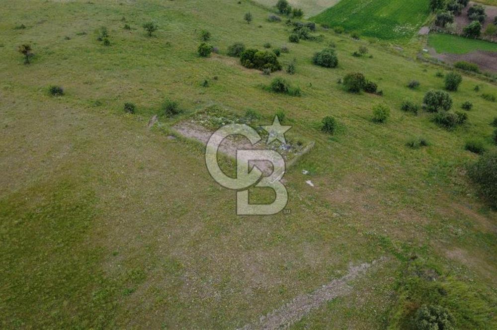 CB ODAK'TAN ALİAĞA GÜZELHİSAR ELBİRDİDE YATIRIMLIK SATILIK TARLAFavorilerime