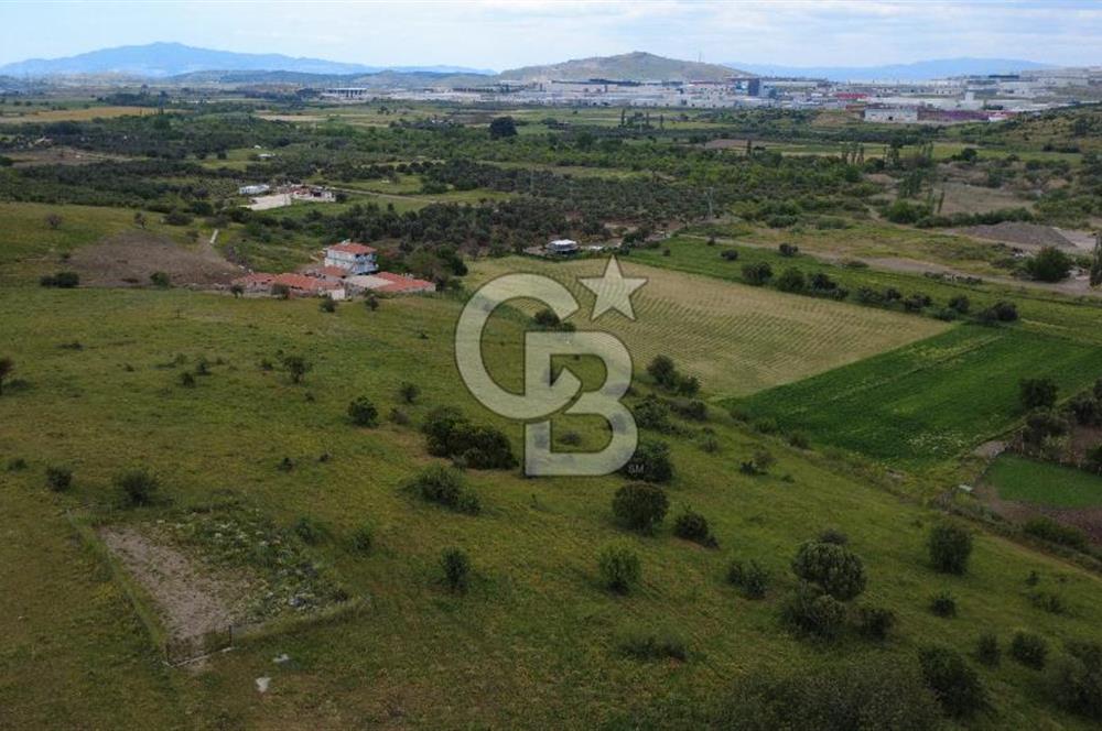 CB ODAK'TAN ALİAĞA GÜZELHİSAR ELBİRDİDE YATIRIMLIK SATILIK TARLAFavorilerime